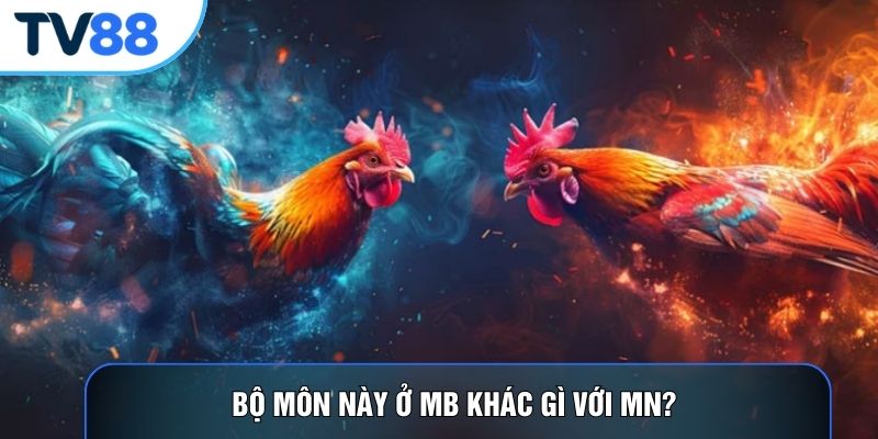Bộ môn này ở MB khác gì với MN? 