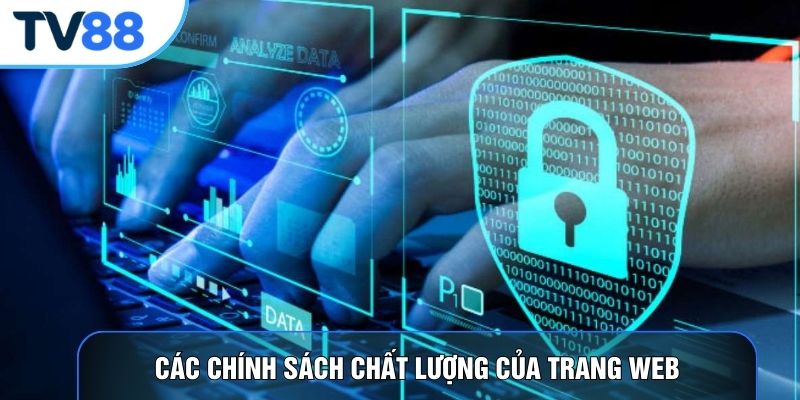 Các chính sách chất lượng của trang web