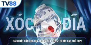 Cách Bắt Cầu Xóc Đĩa Chuẩn Từ A Đến Z: Bí Kíp Cao Thủ 2026