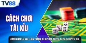 Cách Chơi Tài Xỉu Luôn Thắng: Bí Kíp Độc Quyền Từ Các Chuyên Gia Hàng Đầu