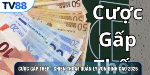 Cược Gấp Thếp - Chiến Thuật Quản Lý Vốn Đỉnh Cao 2026
