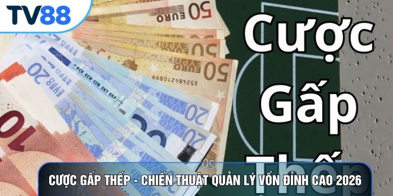 Cược Gấp Thếp - Chiến Thuật Quản Lý Vốn Đỉnh Cao 2026