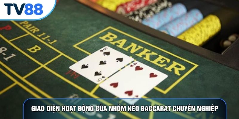 Giao diện hoạt động của nhóm kéo baccarat chuyên nghiệp