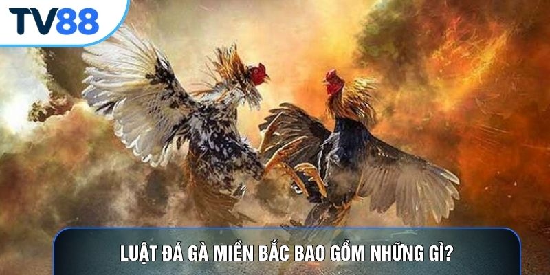 Luật đá gà miền Bắc bao gồm những gì?