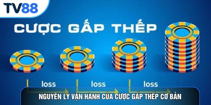 Nguyên lý vận hành của cược gấp thếp cơ bản