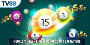 Nuôi Lô 7 Ngày - Bí Quyết Chốt Số Bất Bại Tại TV88
