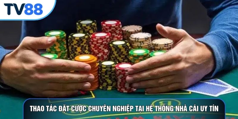 Thao tác đặt cược chuyên nghiệp tại hệ thống nhà cái uy tín