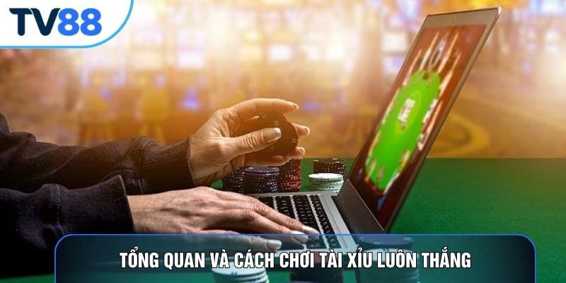 Tổng quan và cách chơi tài xỉu luôn thắng