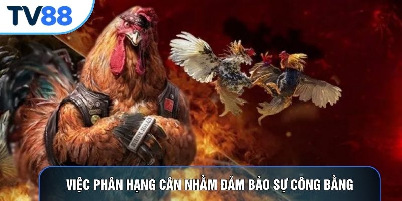 Việc phân hạng cân nhằm đảm bảo sự công bằng